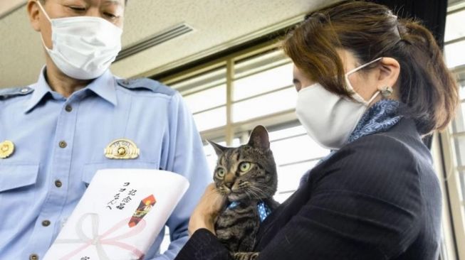 Selamatkan Kakek Jatuh ke Selokan, Kucing Ini Diangkat Jadi Kepala Polisi