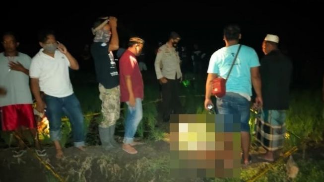 Pardi Tewas Tersetrum Jebakan Tikus yang Dipasang Sendiri di Sawah