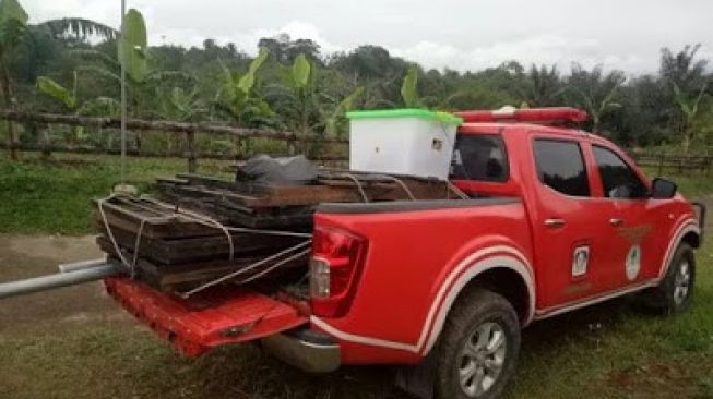 BKSDA Agam Pasang Perangkap Harimau di Cubadak Lilin