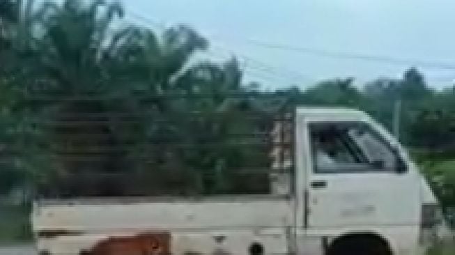 Viral Penampakan Suzuki Carry Melawan Takdir, Bagian Roda Jadi Sorotan