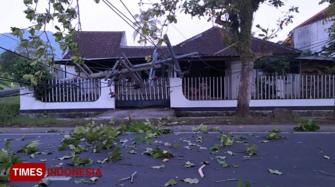 Brakk! Tiang Listrik PLN Roboh Timpa Rumah dan Pemotor di Bondowoso