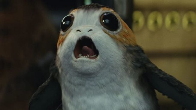 Porg. [Starwars]