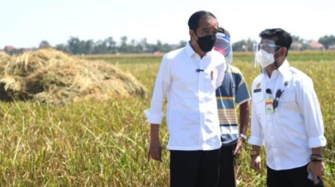 Presiden Joko Widodo Ucapkan Terima Kasih ke Menteri Pertanian Syahrul Yasin Limpo