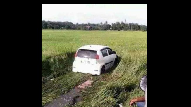 Mau jadi kendaraan bajak sawah apa ya  (Facebook)