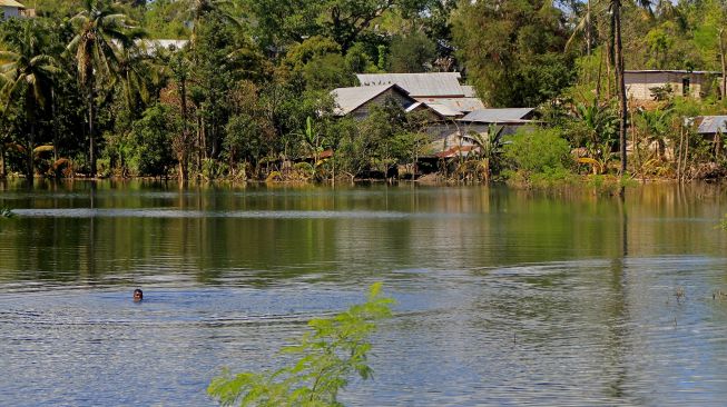 Seorang pria sedang berenang di danau baru yang muncul dampak dari Siklon Tropis Seroja di Kota Kupang, NTT, Jumat (23/4/2021).  ANTARA FOTO/Kornelis Kaha
