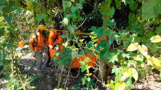 Dikira Orang Tidur di Kebun Tebu, Ternyata Mayat Wanita Terbungkus Karpet