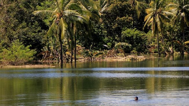 Penampakan Danau Baru di Kupang