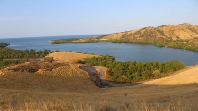 Memukau, Pesona Bukit Cinta di Manggarai Timur