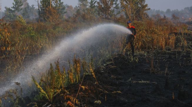 Kenaikan Suhu, BMKG: Kalimantan Barat Waspada Potensi Karhutla