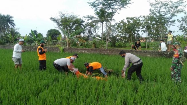 Petugas mengevakuasi jasad kakek S (84) yang ditemukan tak bernyawa di pinggir sawah Kampung Laladon RT 2/3, Desa Ciampea Udik, Kecamatan Ciampea, Kabupaten Bogor, Sabtu (24/4/2021). [Dok. Humas Polres Bogor]