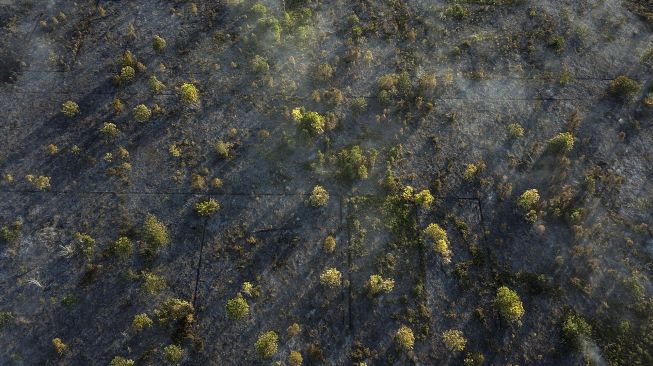 Foto udara lahan gambut yang terbakar di wilayah Jalan Dulin Kandang, Palangkaraya, Kalimantan Tengah, Sabtu (24/4/2021). [ANTARA FOTO/Makna Zaezar]