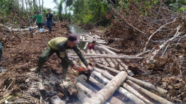 BBKSDA Riau Cincang Kayu Mahang Dengan Gergaji Mesin