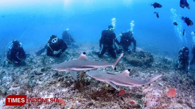 Penjelasan Pakar Mengenai Kuatnya Tekanan Air yang Dialami KRI Nanggala 402