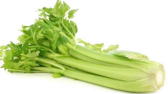 Sayuran Hidroponik Seledri. (Livescience.com)
