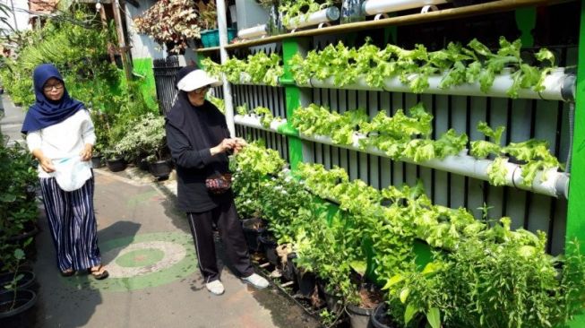 Konsumsi Sayur Masyarakat di Masa Pandemi Masih Rendah