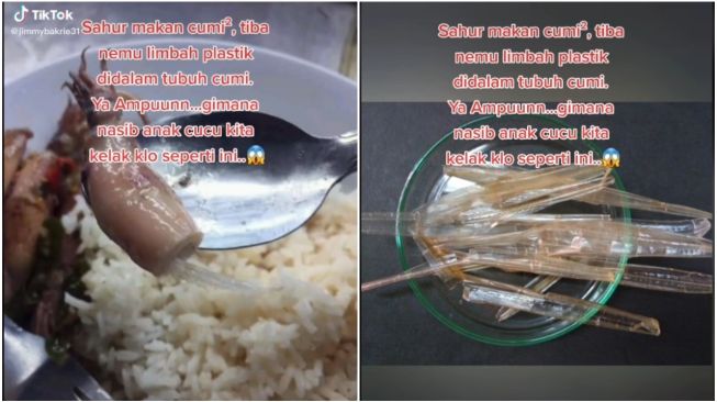 Sok Kritis Nemu Plastik di Perut Cumi, Publik Yakin Pria ini Bolos Biologi (TikTok/Jimmybakrie31)