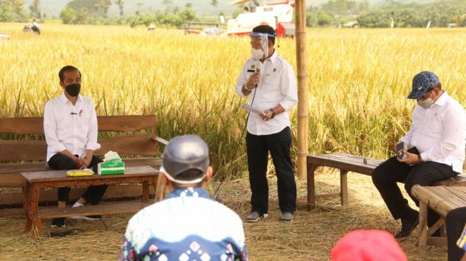 Presiden Joko Widodo meninjau panen raya di padi di Desa Kanigoro, Kecamatan Pagelaran, Kabupaten Malang. (Dok. Kementan)