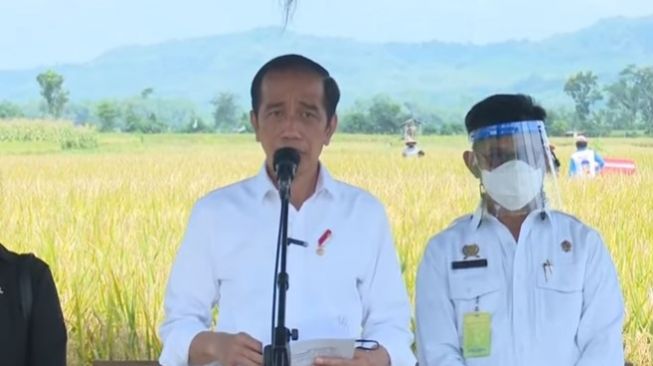 Jokowi Cek Produksi Padi di Kabupaten Malang, Pastikan Tak Impor Beras