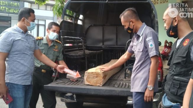 Curi Kayu Jati, Seorang Kakek Diserahkan ke Polisi Tuban