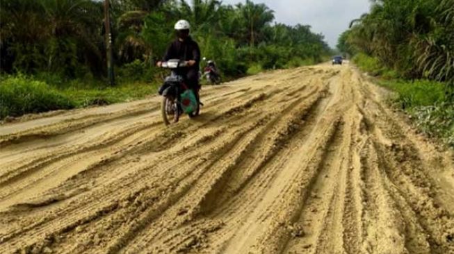 Kondisi jalan Siak-Bungaraya setelah ditimbun oleh Pemkab Siak. [Suara.com/Alfat Handri]