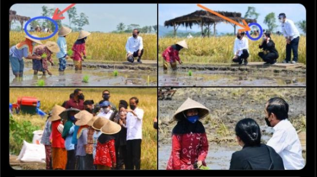 Roy Suryo komentari foto Jokowi dan Puan tinjau panen petani (Twitter).