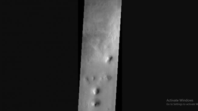 Arcadia Planitia. [NASA]