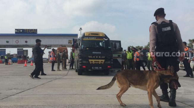 Kapok! 10 Travel Gelap Ditahan Polisi Saat Penyekatan di Exit Tol Tegal