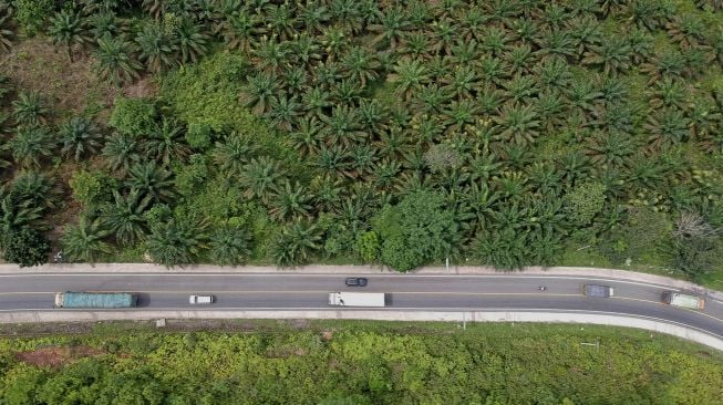 Kendaraan melintas di Jalan Lintas Timur Sumatera, Sekernan, Muarojambi, Jambi, Sabtu (8/5/2021). [ANTARA FOTO/Wahdi Septiawan]