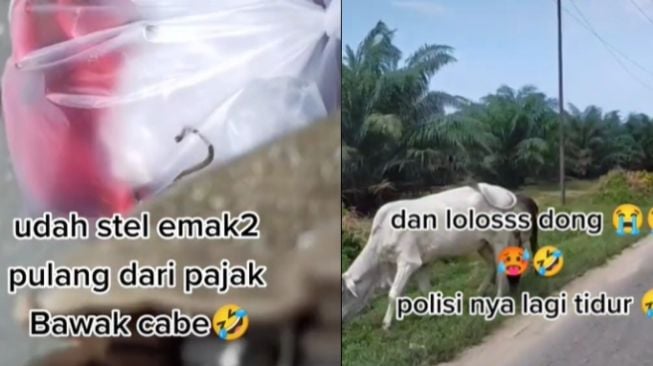 Viral Wanita Ngaku Lolos Penyekatan Mudik, Bergaya Emak-emak Pulang Pasar