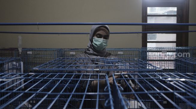 Petugas memeriksa kondisi hewan peliharaan yang dititipkan di Amore Animal Clinic, Pasar Minggu, Jakarta, Selasa (11/5/2021). [Suara.com/Angga Budhiyanto]