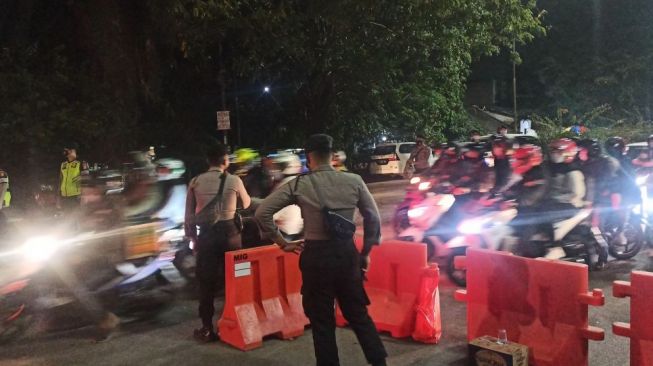 Bukan Aparat, Pemudik Dibikin Terdiam Gara-Gara Jalan Diblokade Hewan Ini