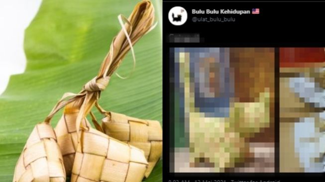 Viral Foto Ketupat, Pas Dizoom Publik Malah Tak Tega Lihat Bentuknya