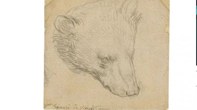 Lukisan "Head of Bear" karya Leonardo da Vinci [Live Science].