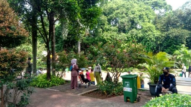 Kebun Binatang Ragunan belum Tutup Meski Jakarta Genting COVID-19, Dibatasi 50 Persen