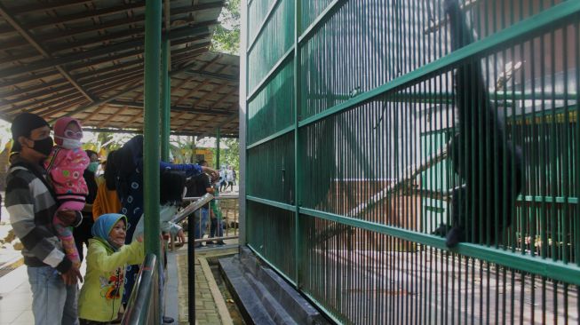 Warga berkunjung ke Taman Margasatwa Ragunan, Jakarta, Jumat (14/5/2021).  [Suara.com/Dian Latifah]