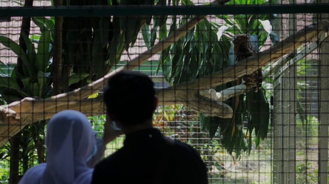 Warga berkunjung ke Taman Margasatwa Ragunan, Jakarta, Jumat (14/5/2021).  [Suara.com/Dian Latifah]