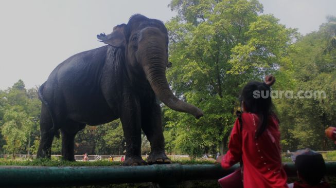 Warga berkunjung ke Taman Margasatwa Ragunan, Jakarta, Jumat (14/5/2021).  [Suara.com/Dian Latifah]

