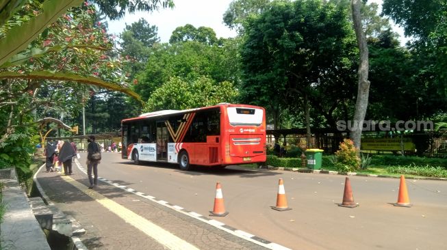 Urai Kemacetan, Taman Margasatwa Ragunan Sediakan Layanan Busway Gratis