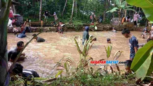 Byur! Warga Ciamis Kompak Nyebur ke Kolam Ikan