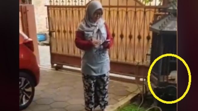 Greget! Ayam Kesayangan Emak Mati, Undang Tetangga Satu RT Pas 'Pemakaman'