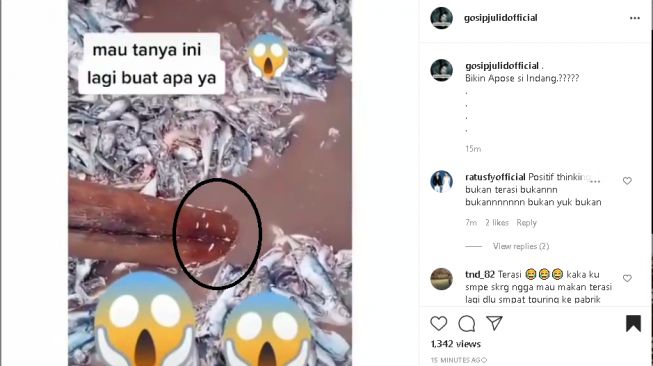 Gadis tumbuk ikan jadi bubur warna ungu (instagram.com/@gosipjulidofficial)