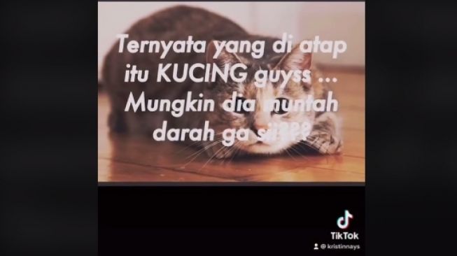 Darah menetes di kamar seorang wanita (tiktok.com/@kristinnays)