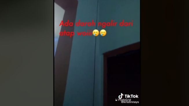 Racun Tikus Salah Sasaran, Wanita Ini Panik Ada Darah Netes di Atap Rumah