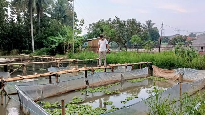 Libatkan Pemuda, Kota Tangsel Kembangkan Berbagai Usaha Bernilai Ekonomi