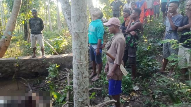 Pencuri Kelapa di Kupang Bacok Pemiliknya Karena Takut Kena Sanksi Adat