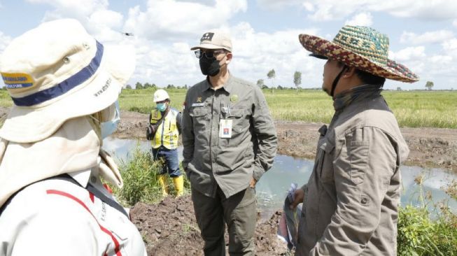 Baru Dilantik, Dirjen PSP Tancap Gas Cek Food Estate di Kapuas Kalteng