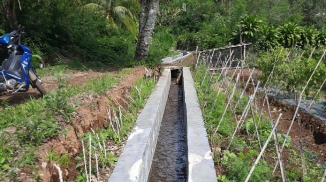 Mentan: Pengairan Merupakan Kebutuhan Mendesak untuk Tingkatkan Produktivitas Pertanian