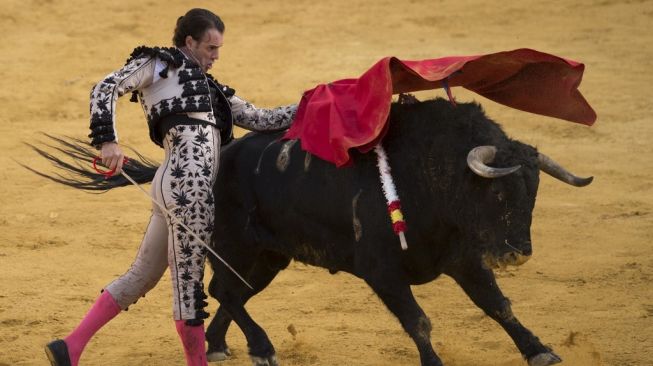 Seorang matador Spanyol di ajang adu banteng. (Foto: AFP)