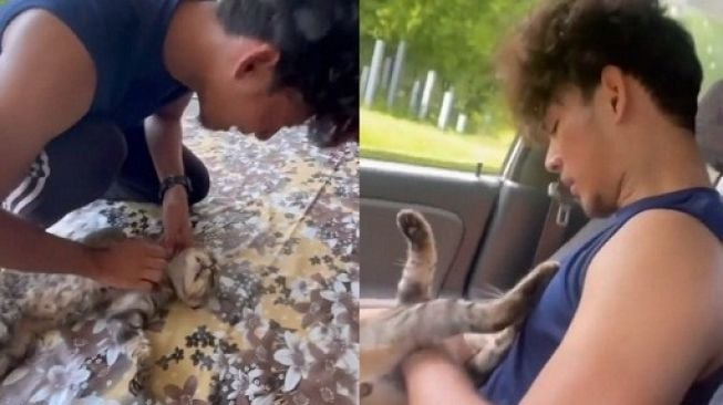 Viral Pria Kejer Kucingnya Kena Racun Tikus dan Mati, Warganet Ikut Baper