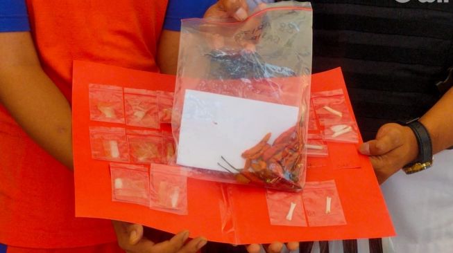 Cabai Rawit Berisi Sabu 6 Gram Gagal Masuk ke Lapas Jombang